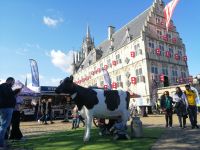 Das Rathaus von Gouda