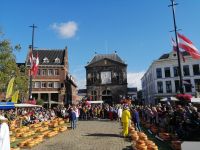 Der wöchentliche Goudaer Käsemarkt