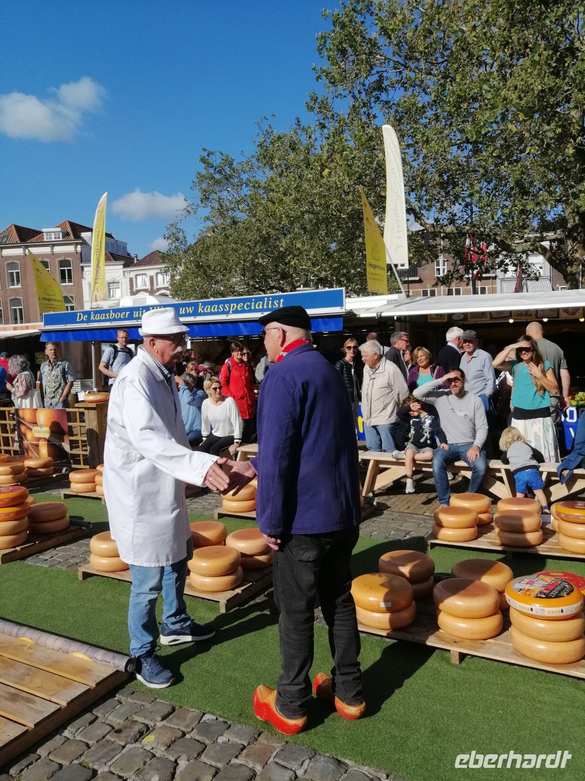 Käsehändler präsentieren riesige Käselaibe auf speziellen Tragbahren und machen Geschäfte per Handschlag
