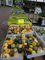 Besuch des wöchentlichen Blumenmarkts in Amersfoort