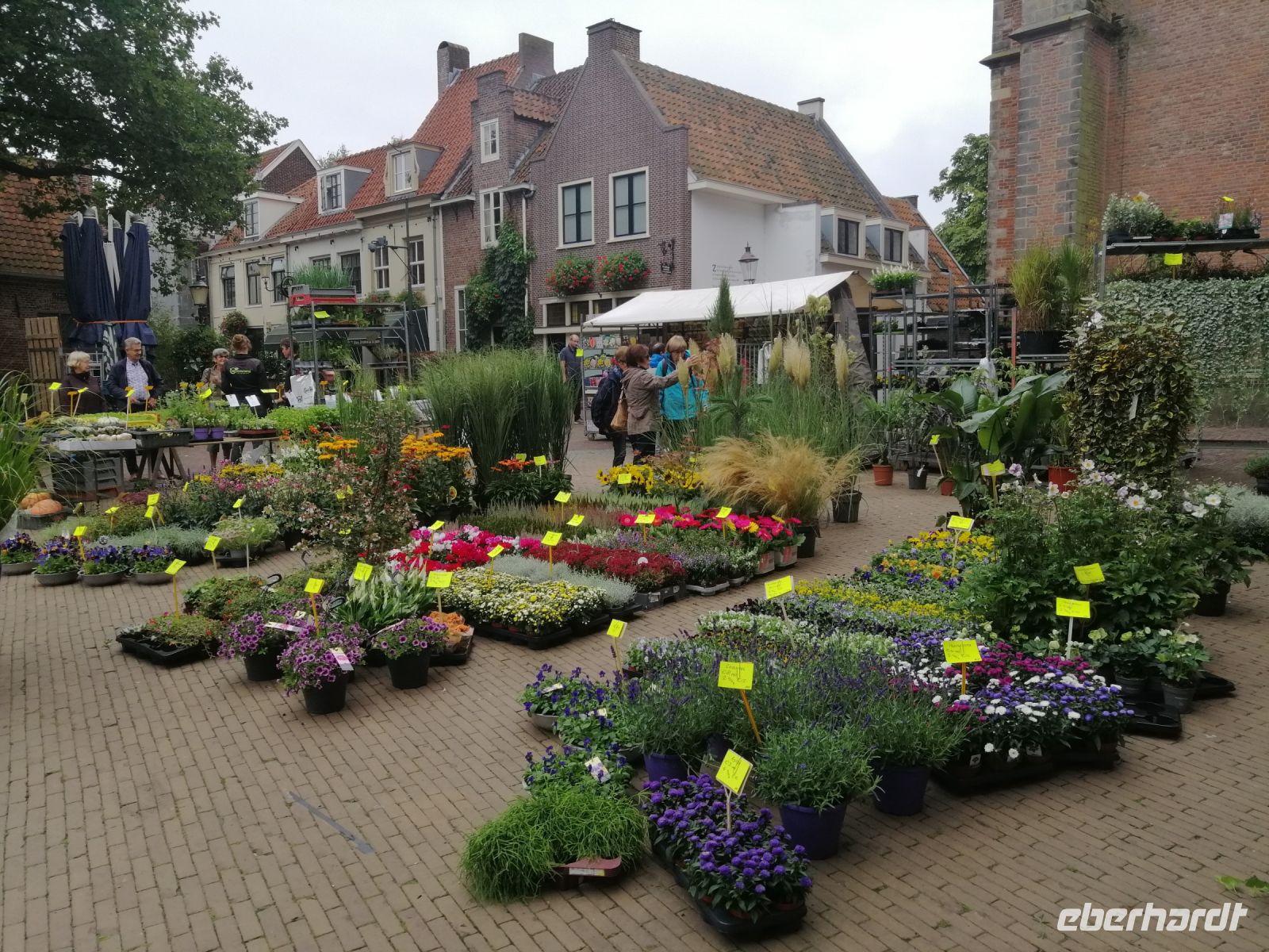 Besuch des wöchentlichen Blumenmarkts in Amersfoort