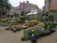 Besuch des wöchentlichen Blumenmarkts in Amersfoort