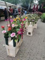 Besuch des wöchentlichen Blumenmarkts in Amersfoort
