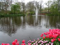 Keukenhof (8).JPG