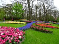 Keukenhof (13).JPG