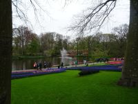 Keukenhof (47).JPG
