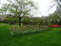 Keukenhof (146).JPG