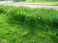 Stopp an einer Mühle in Amsterdam (3).JPG