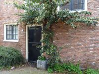 Stadtrundgang Haarlem (9).JPG