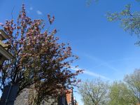 Stadtrundgang Enkhuizen (27).JPG