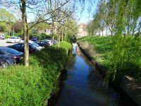 Stadtrundgang Enkhuizen (44).JPG