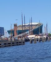 Im Amsterdamer Hafen