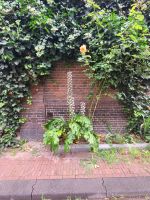 So kann man Natur in die Stadt bringen