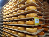Käse im Käselager, Woerden, Niederlande