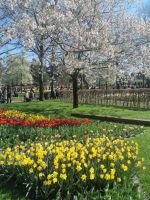 Blumenparadies Keukenhof