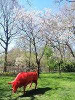 Keukenhof im Frühling