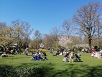 Keukenhof: Erholungswiese