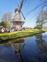 Blumenparadies Keukenhof: typische Windmühle