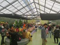 Blumenparadies Keukenhof - Pavillon Beatrix