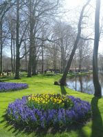 Blumenparadies Keukenhof - Wilhelmina