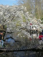Blumenparadies Keukenhof - Willem-Alexander