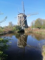 Stadtrundfahrt durch Amsterdam - Riekermolen
