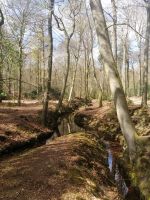 Schloß Rozendael - der Schloßpark