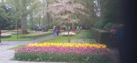 Keukenhof
