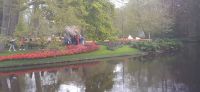 Keukenhof