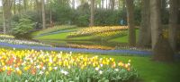 Keukenhof