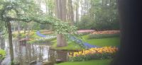 Keukenhof