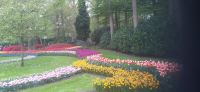 Keukenhof