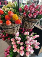 Tulpen aus Amsterdam 