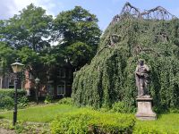 Legende Laurens Janszoon Coster soll in Haarlem den Buchdruck erfunden haben