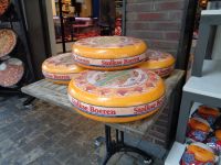 Bauernkäse aus Stolwijk, Woerden, Niederlande