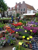 Blumenmarkt, Amersfoort, Niederlande