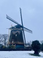 2. Tag - De Riekermolen, Amsterdam 