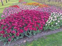 Nach der Blüte werdensie geerntet &ndash; &copy; Andreas Kunzmann (Eberhardt TRAVEL)