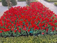 sind im vergangenen Herbst gesteckt worden &ndash; &copy; Andreas Kunzmann (Eberhardt TRAVEL)