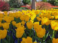 geschreddert &ndash; &copy; Andreas Kunzmann (Eberhardt TRAVEL)