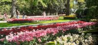 Keukenhof  &ndash; &copy; Kerstin Hugel (Eberhardt TRAVEL)