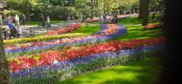 Keukenhof  &ndash; &copy; Kerstin Hugel (Eberhardt TRAVEL)