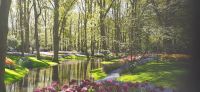 Keukenhof  &ndash; &copy; Kerstin Hugel (Eberhardt TRAVEL)