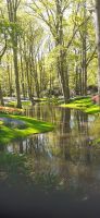 Keukenhof  &ndash; &copy; Kerstin Hugel (Eberhardt TRAVEL)