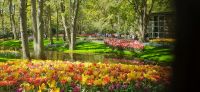 Keukenhof  &ndash; &copy; Kerstin Hugel (Eberhardt TRAVEL)