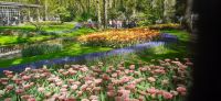 Keukenhof  &ndash; &copy; Kerstin Hugel (Eberhardt TRAVEL)