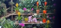 Pantropica &ndash; &copy; Kerstin Hugel (Eberhardt TRAVEL)