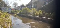 Giethoorn &ndash; &copy; Kerstin Hugel (Eberhardt TRAVEL)