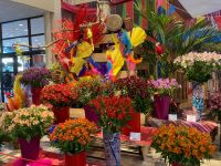 3. Tag – Tulpenblüte im Keukenhof