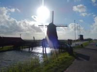 Holländische Windmühlen